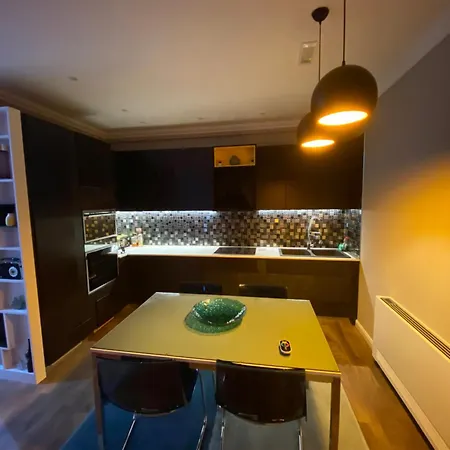 Luxurious In Apartment *